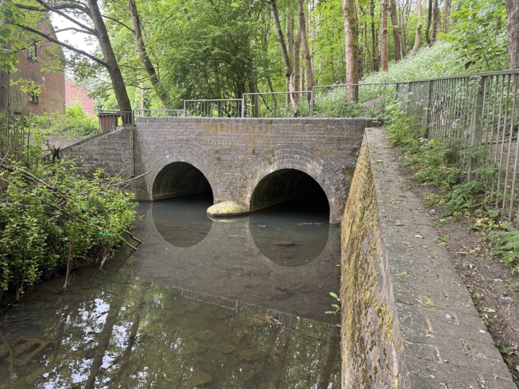 Inspection photo of culvert in Great Central Woodland