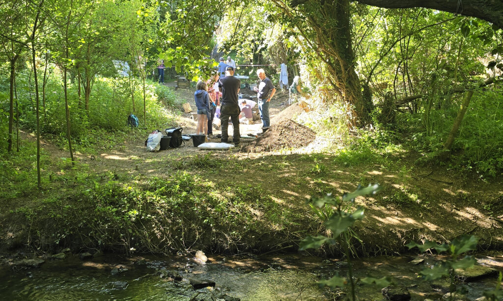 Image from the Woodford Saxon Dig